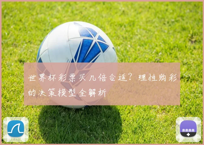 世界杯彩票买几倍合适？理性购彩的决策模型全解析