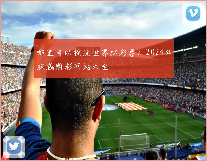 哪里可以投注世界杯彩票?2024年权威购彩网站大全