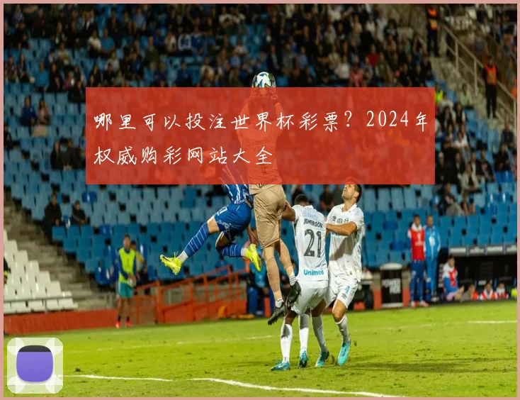 哪里可以投注世界杯彩票?2024年权威购彩网站大全