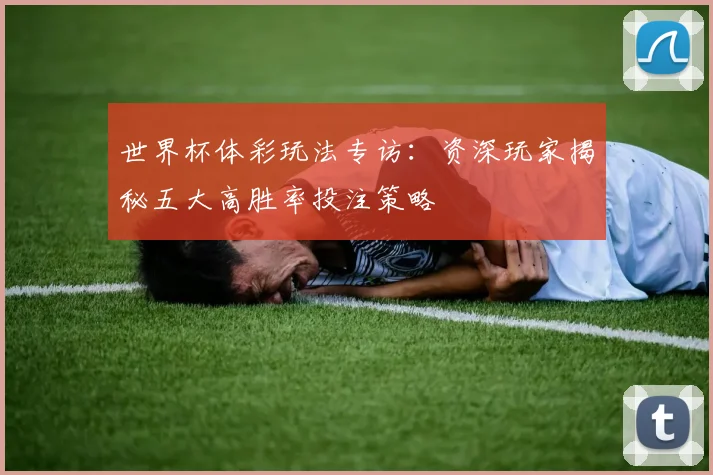 世界杯体彩玩法专访:资深玩家揭秘五大高胜率投注策略