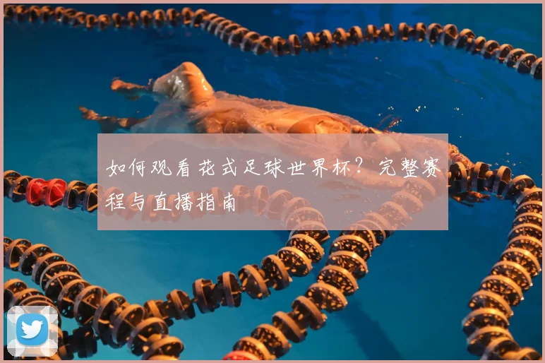 如何观看花式足球世界杯？完整赛程与直播指南