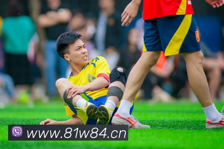 多媒体互动体验